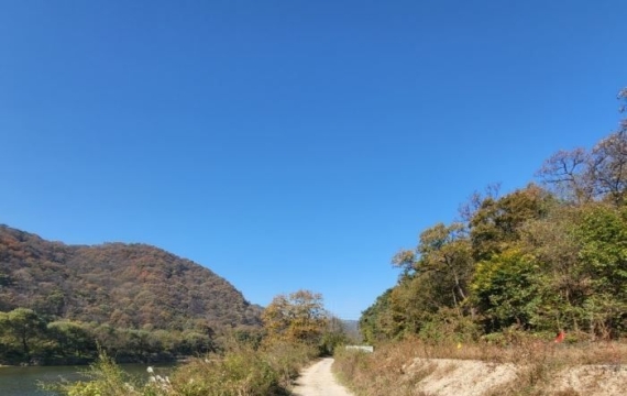 "1400만원 시골땅 17억원에 삽니다"…117배 투자한 이유는