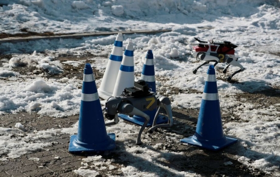 [노필터 로봇]얼음위에서 멈추고 넘어지고… 로봇개 좌충우돌 레이스