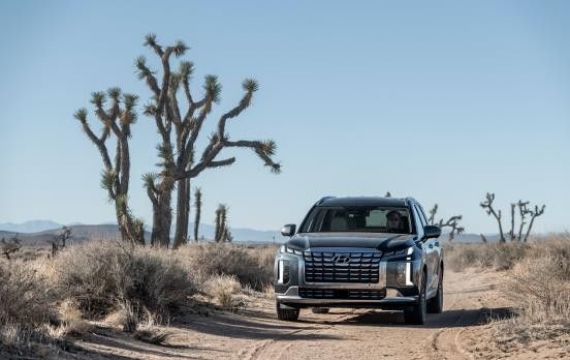 현대차, 美 여아 사망 사고에 팰리세이드 일부 판매 중단…"리콜 예정"