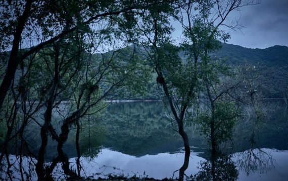 두려운 것은 귀신일까, 불신일까[슬레이트]