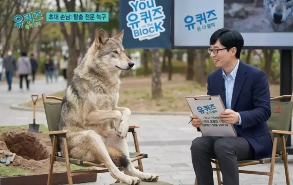 '탈출 늑대' 늑구, 돌아오며 승리도 가져왔네…대전은 늑구 앓이 중