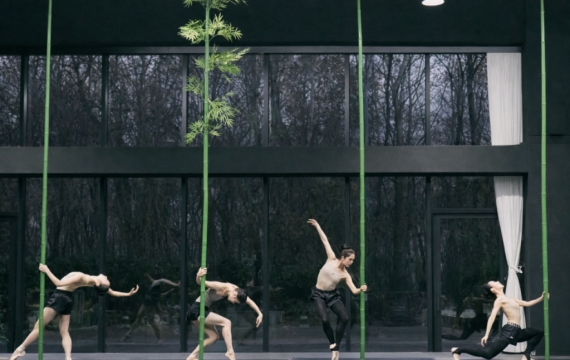 "비워야 채워진다"…서울시발레단 창작 신작 '인 더 밤부 포레스트'