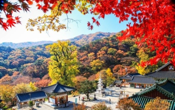 산빛 감돌고 강물 굽이치는 곳가을, 양평에 물들다