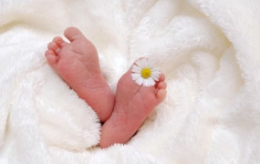 베이비박스 상담사 설득에... 아기 다시 데리고 갔다 