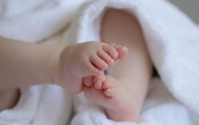 "South Korea as a Model"...The Country Looking to Korea for Low Birth Rate Solutions