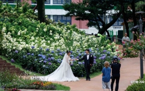 결혼 의향 회복 조짐…미혼 남녀 긍정 응답 2년째 늘어