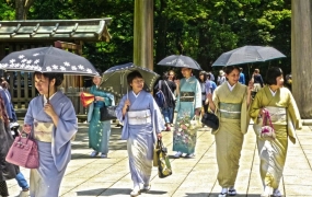 벚꽃 보러 가려 했는데…일본 홋카이도, 내달 1일부터 숙박세 도입