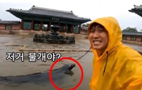 "폭우에 잠긴 경복궁서 '물개'가 헤엄쳐"…"실감 나지만 속지는 않아"
