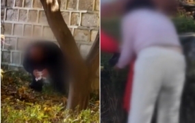 "한국인 아니지?" 손에 휴지 들고 '끙'…경복궁 돌담서 용변 본 남녀