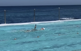 "세상이 미쳐 돌아간다"…배영하며 손에 쥔 '스마트폰'에 발칵