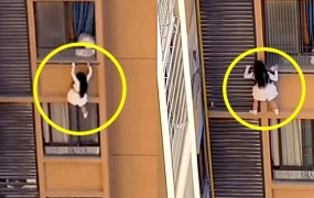 "부인이 집에 왔다고?"…10층 아파트 난간에 매달린 내연녀