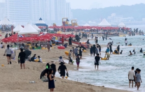 "절대 만지면 안돼"…보면 무조건 피해야 한다는 '여름바다 불청객' 정체