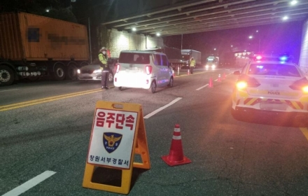 '日관광객 모녀 참변' 그 거리서…"또 음주운전 적발"