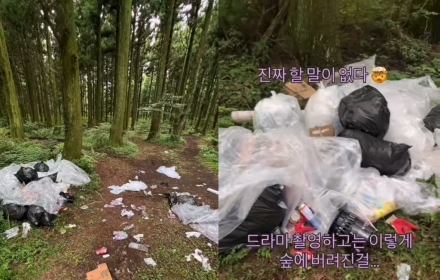 드라마 촬영 끝난 제주 숲에 쓰레기 한가득…민폐 논란에 제작사 사과