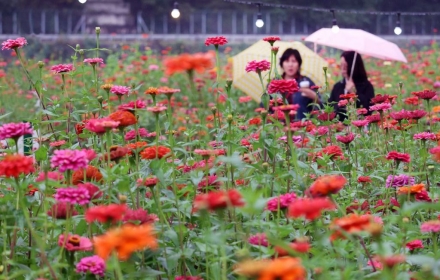 흐리고 곳곳 비…서울 낮 최고 23도