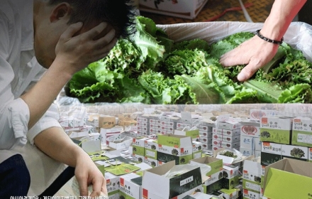 날씨는 죄가 없다