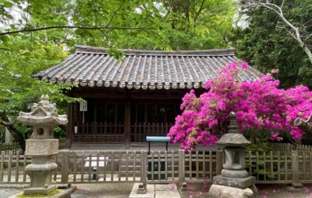 가마쿠라 밤하늘 보던 조선 사당, 100년 만에 고국 품으로