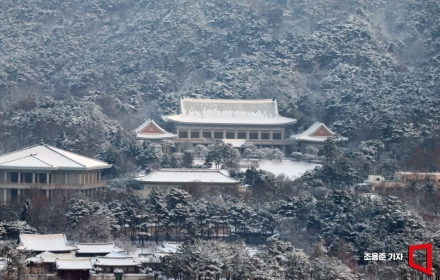 1명이 쓴 민원만 1000여개…靑 "반복민원으로 막대한 사회적비용"