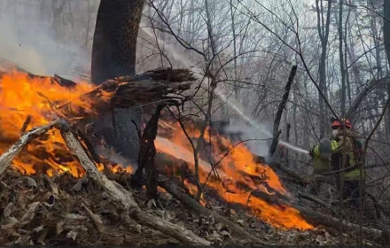 경주 문무대왕면 산불 확산에 2차 국가소방동원령 발령