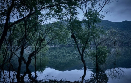 두려운 것은 귀신일까, 불신일까[슬레이트]