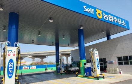 "10원만 더 비싸도 손님 뚝" 알뜰도 못 버틴다, 주유소 초토화
