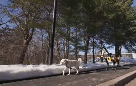 From Organizing Shoes to Walking the Dog: Smarter Quadruped Robot 'Spot'
