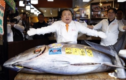 Prices Soar Every Year, This Time '4.73 Billion Won'... "Winning the Bid Brings Good Luck All Year"