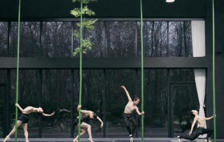 "비워야 채워진다"…서울시발레단 창작 신작 '인 더 밤부 포레스트'