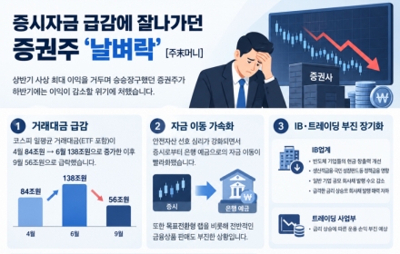 석달새 138조→56조 급감…'날벼락'맞은 이 주식 [주末머니]