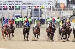  "No Leisure Tax Reduction"... Funding Crisis for 2.4 Trillion Won Gwacheon Racecourse Relocation