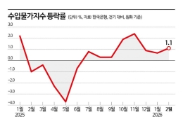 수입 물가 8개월째 상승…"美·이란 전쟁 반영 안돼, 3월에도 오를 것"
