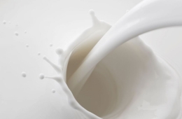 나를 '따르라'… 카페 시장 뒤집는 우유전쟁