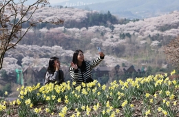 아침 쌀쌀하고 낮 포근…서울 23도·대전 25도