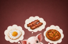 식재료인 척하면 '돼지'