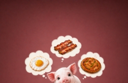 식재료인 척하면 '돼지'