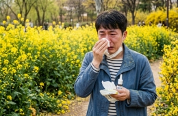 "잠깐 문 열었는데"...더워지자 전국 뒤덮은 '노란가루' 주의보