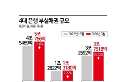 역대급 실적에 가려진 부실 경고음…은행 NPL 11% 급상승