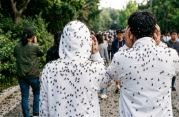 "Will the Gyeyang Mountain Nightmare Return?" Lovebug Explosion Expected in Late June