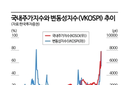 코스피 공포지수 급등했는데…삼전닉스 투자 소외될까 겁나서라고?