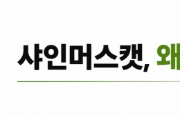 "Japan's Frustration Over Shine Muscat: Stepping Up Efforts to Protect New Varieties After Losing Out to Korea"