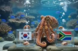 Over 7 Trillion Won in Bets...What Is the "Human Octopus" Prediction for Korea vs. South Africa?
