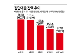 2년 새 집단대출 14조 감소…지방 입주민 '선착순 대출 전쟁'