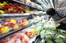 Even Vegetables Join Oil Price Surge" June Consumer Prices Up 3.2%...Big Impact on Households (Comprehensive Report 2)