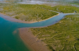 International Community Unites for Yellow Sea Mudflat Conservation... Joint Declaration by UNESCO, Korea, and China