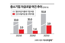 대출금리 오르고 사채 비중 3배…"필요자금 못 구해"