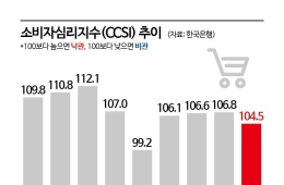 4개월 만에 꺾인 소비심리 "증시 조정이 전방위 영향 줬다"