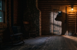 One Day, Suddenly... What If My Home Becomes the Black Bears' "Hot Spot"?