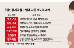 미프진 도입 쟁점은? "의료 기관 내 투약" vs "자기결정권 제한 안돼"