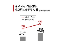 167조원으로 커졌는데…금감원 PEF 검사 역량 ‘제자리’