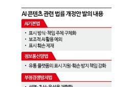 [AI 콘텐츠 명암]③쉬워진 AI 제작 못따라가는 제도들…국회에 줄줄이 심사대기